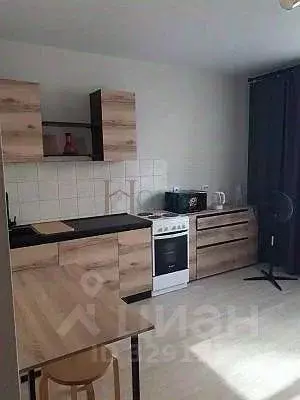 Студия Новосибирская область, Новосибирск Красный просп., 331 (30.0 м) - Фото 1