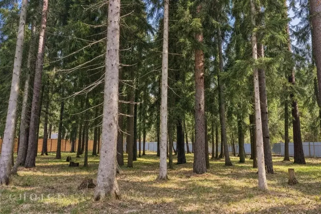 Участок в Московская область, Одинцовский городской округ, пос. ... - Фото 1
