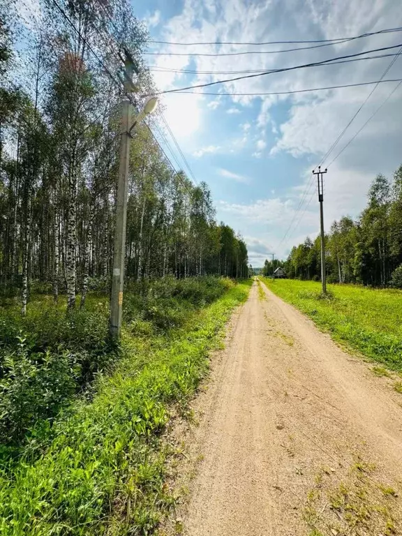 Участок в Смоленская область, Темкинский район, Русь СНТ ул. 3-я ... - Фото 1