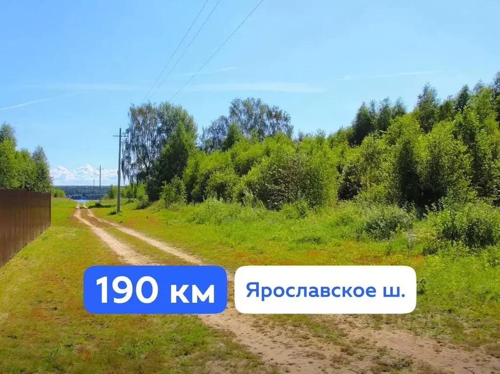 Участок в Ярославская область, Угличский муниципальный округ, Волга ... - Фото 2