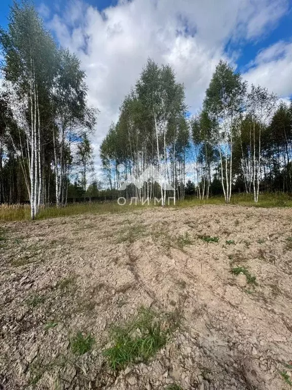 Участок в Ярославская область, Некрасовский муниципальный округ, с. ... - Фото 1
