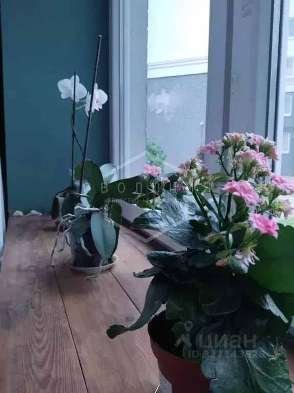 2-к кв. Калининградская область, Калининград Суздальская ул., 22к1 ... - Фото 1