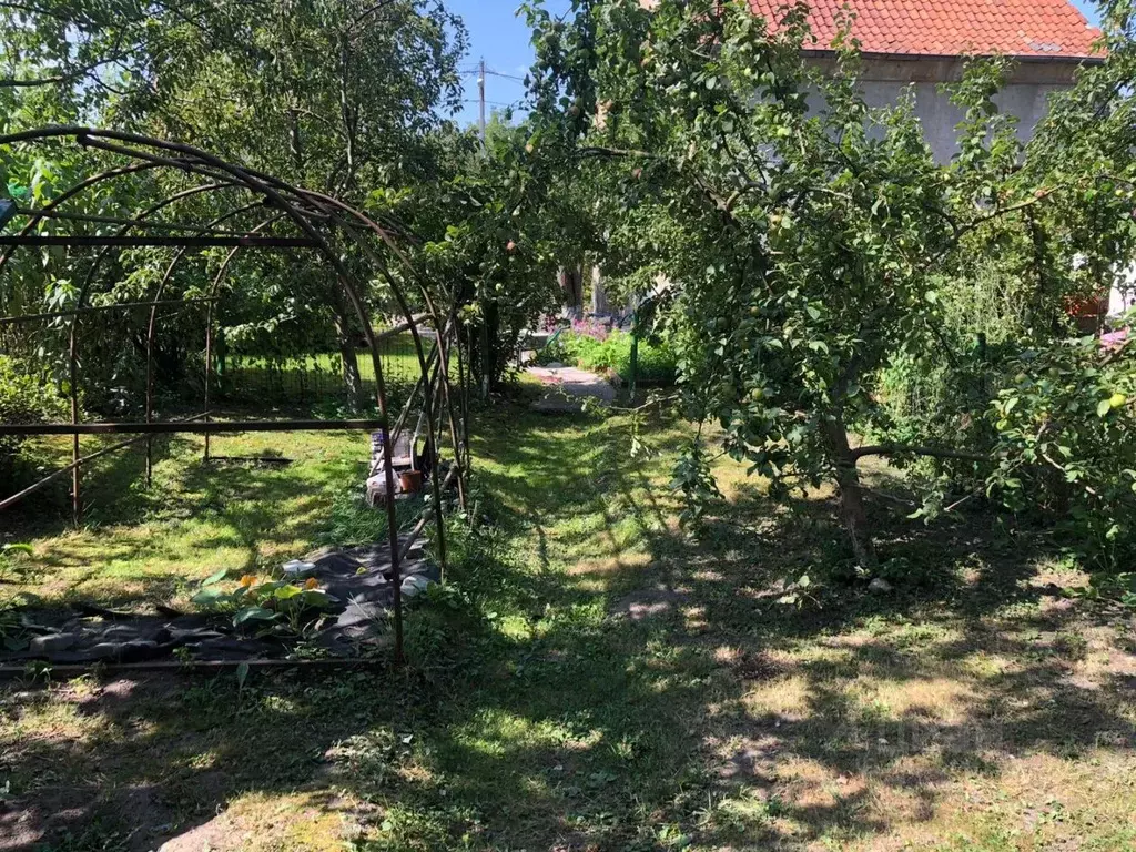 1-к кв. Калининградская область, Калининград Елизаветинская ул., 5 ... - Фото 1