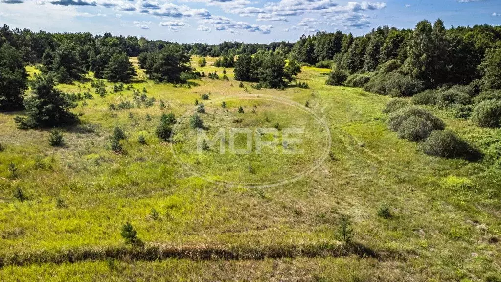 Участок 4 га (СНТ, ДНП) - Фото 1