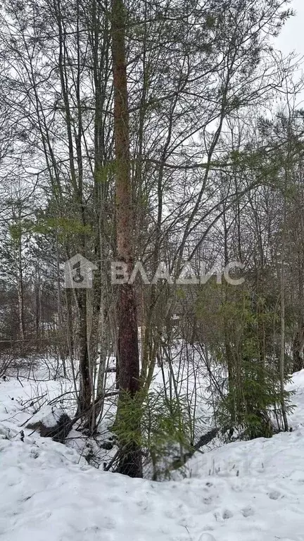 Участок в Ленинградская область, Всеволожский район, Юкковское с/пос, ... - Фото 1