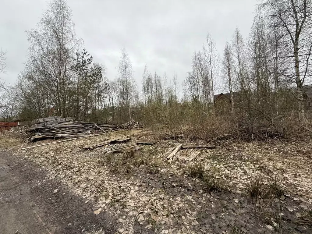 Участок в Ленинградская область, Выборгский район, пос. Первомайское ... - Фото 0