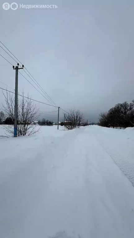 Участок в Орехово-Зуевский городской округ, деревня Селиваниха (15 м) - Фото 2