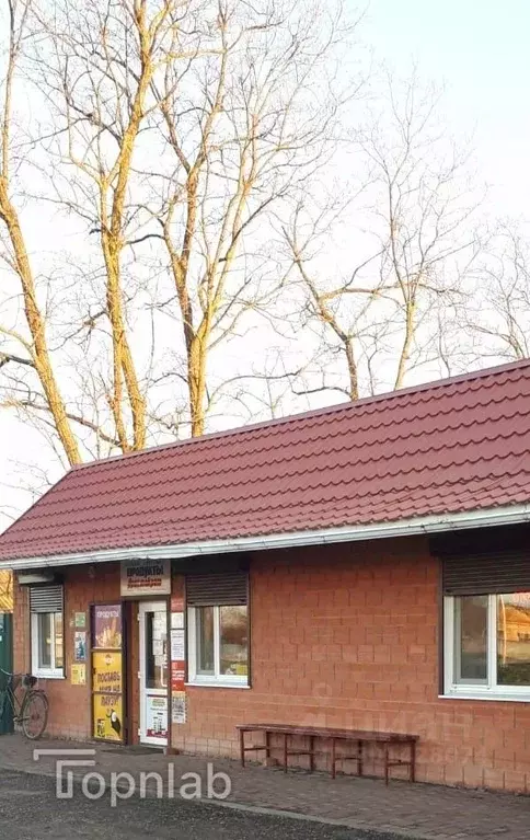 Торговая площадь в Краснодарский край, Ейский район, Копанское с/пос, ... - Фото 1