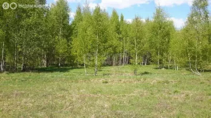 Участок в Тульская область, городской округ Тула, село Частое, Ясная ... - Фото 1