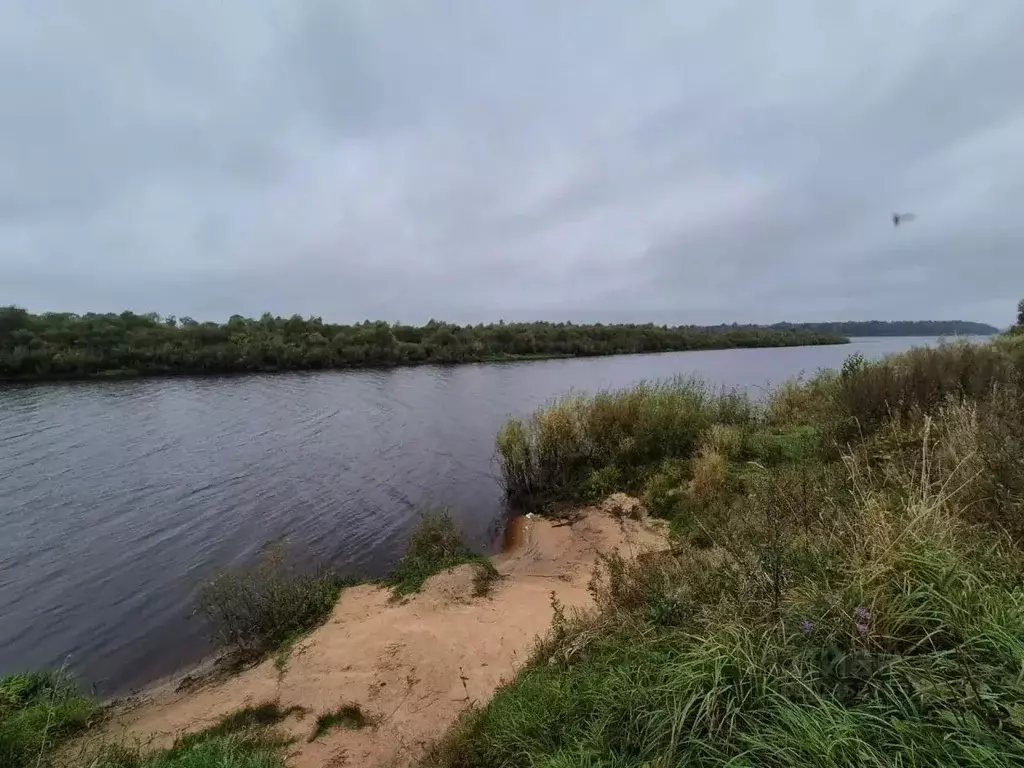Участок в Новгородская область, Новгородский район, Бронницкое с/пос, ... - Фото 2