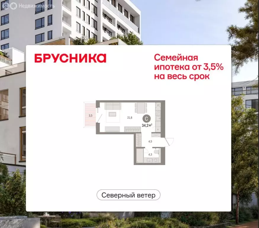 Квартира-студия: Санкт-Петербург, ЖК Северный Ветер (34.18 м) - Фото 1