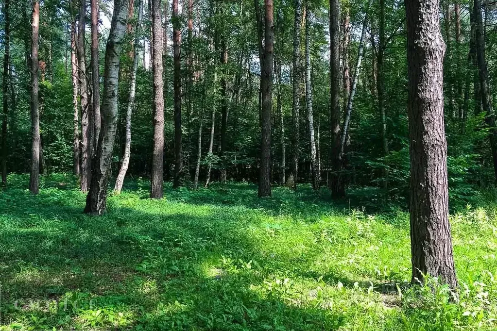 Участок в Московская область, Одинцовский городской округ, пос. дома ... - Фото 1