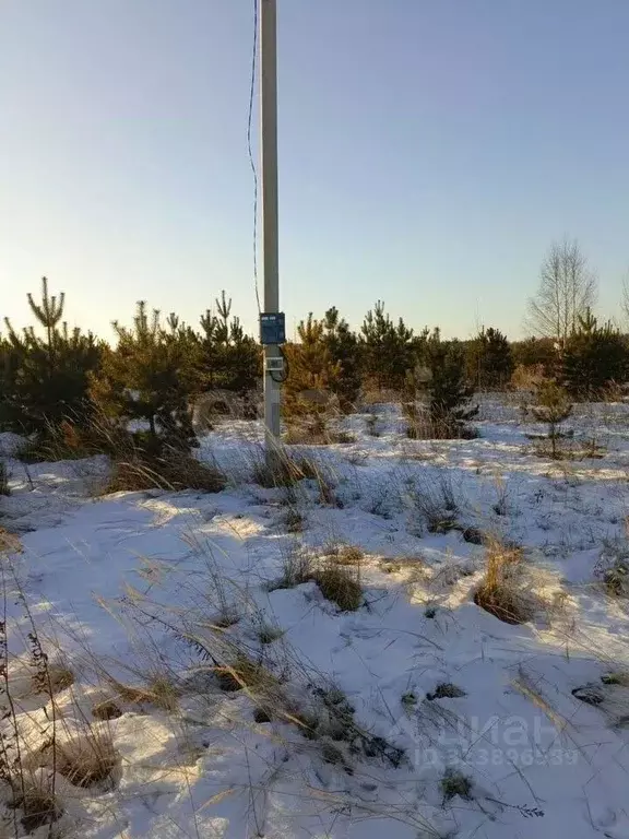 Участок в Костромская область, Кострома ул. Владимира Люсина (8.0 ... - Фото 0