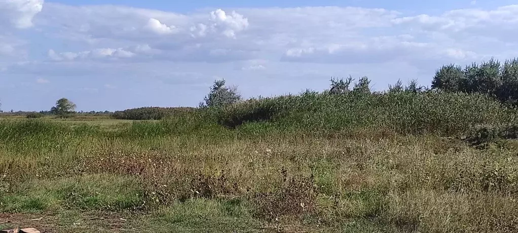 Участок в Саратовская область, с. Усть-Курдюм проезд Позитивный (2.2 ... - Фото 2