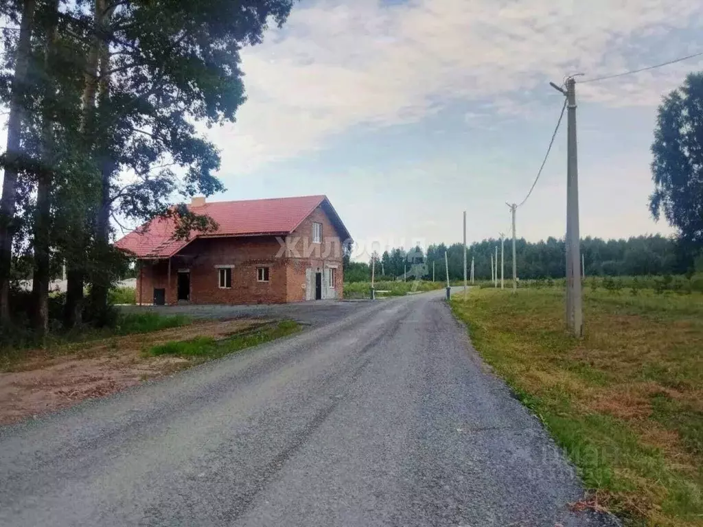 Участок в Новосибирская область, Новосибирский район, Барышевский ... - Фото 0