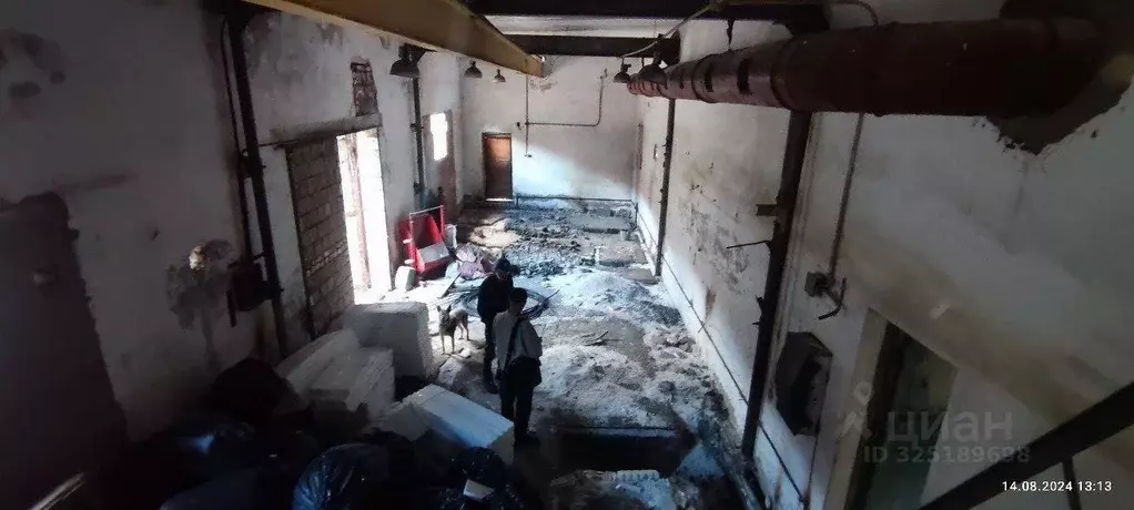 Производственное помещение в Самарская область, Кинель ул. Завод 12, 3 ... - Фото 2