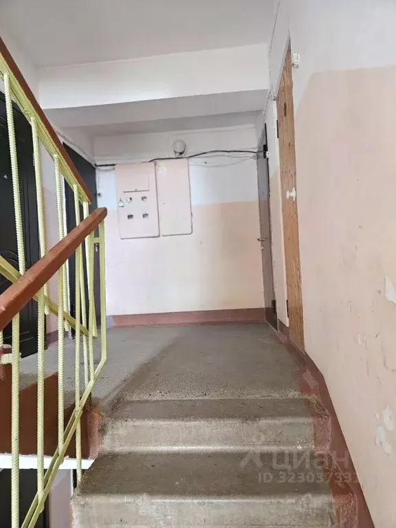 3-к кв. Пермский край, Краснокамск ул. Калинина, 9 (58.5 м) - Фото 2