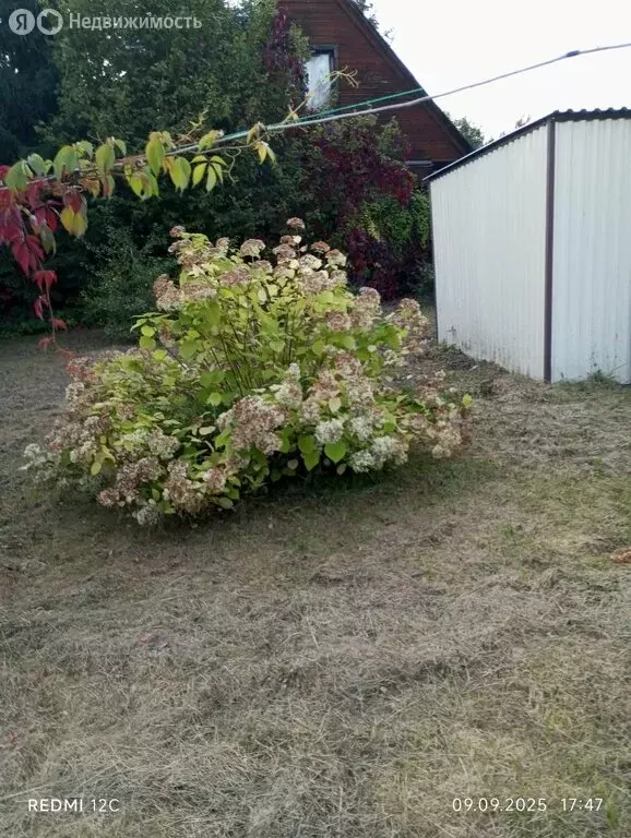 Дом в деревня Сапегино, 21 (70 м) - Фото 1