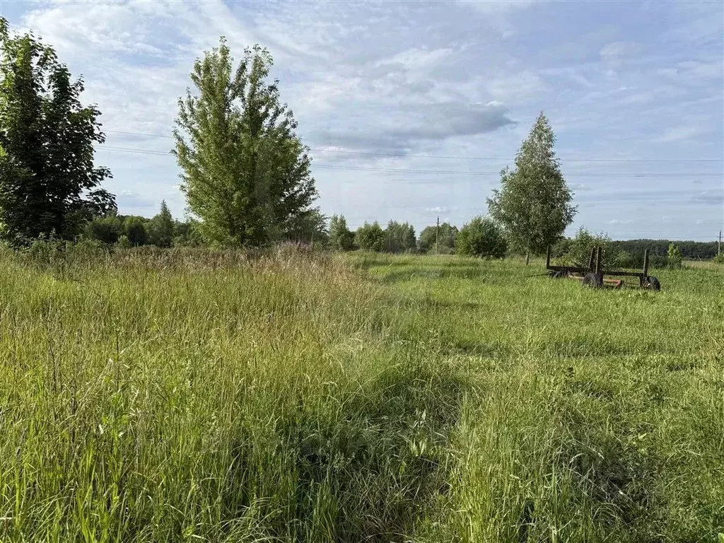 Участок в Рязанская область, Ряжский муниципальный округ, с. Дегтяное  ... - Фото 1