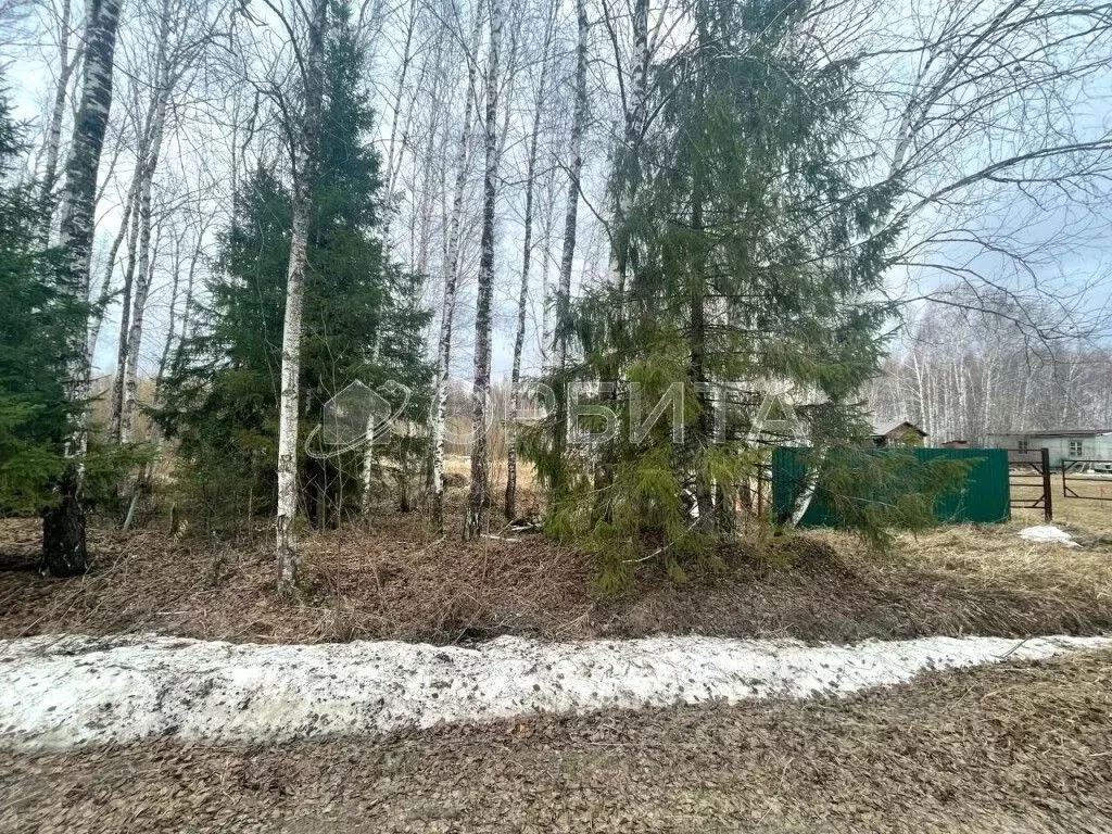 Участок в Тюменская область, Нижнетавдинский муниципальный округ, ... - Фото 1