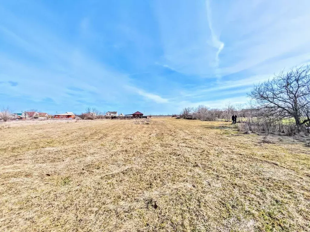 Участок в Краснодарский край, Тихорецкий район, Новорождественское ... - Фото 1