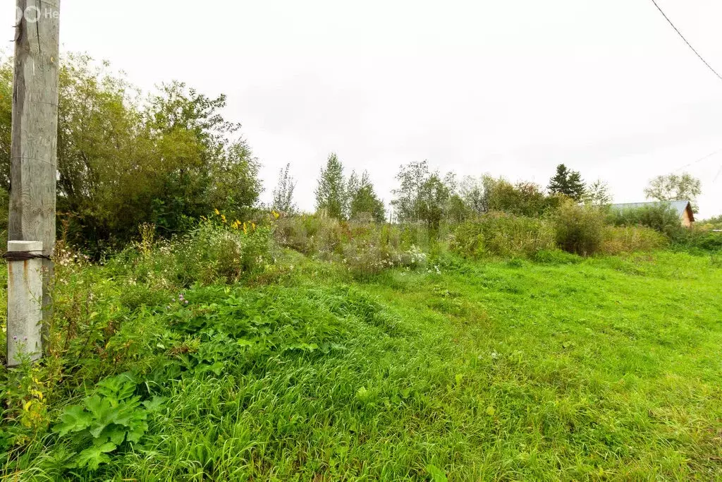 Участок в Усть-Ницинское сельское поселение, деревня Мельничная (19.45 ... - Фото 2