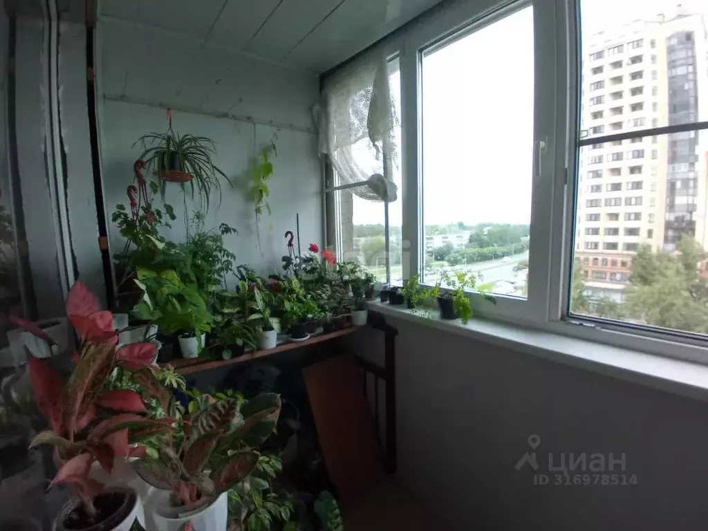 3-к кв. Псковская область, Псков Рижский просп., 53 (61.8 м) - Фото 0