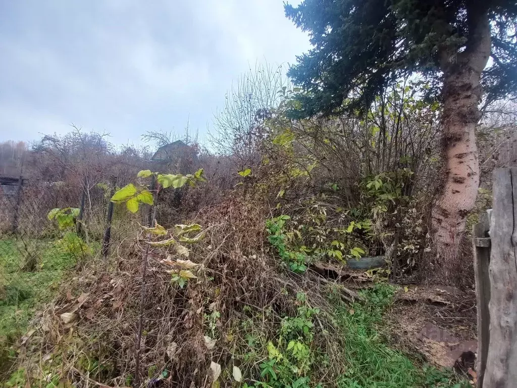 Участок в Алтай, Горно-Алтайск Строитель СНТ, 242 (4.5 сот.) - Фото 2