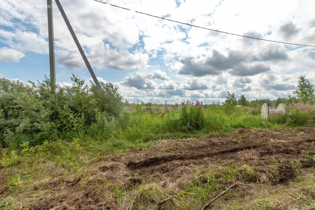 Участок в Тюмень, товарищество собственников недвижимости дачное ... - Фото 2