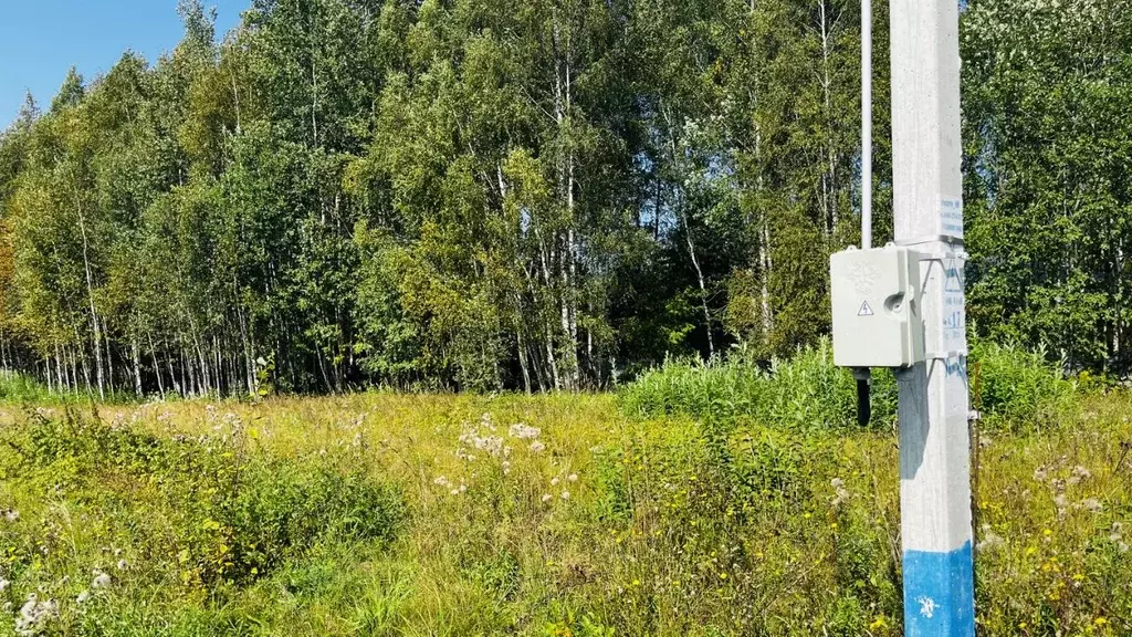 Участок в Московская область, Дмитровский муниципальный округ, пос. ... - Фото 1