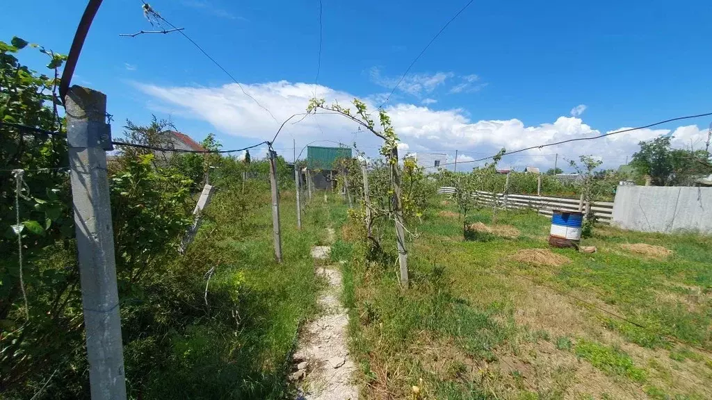 Дом в Крым, Сакский район, Штормовское с/пос, Полет СПК  (39 м) - Фото 2