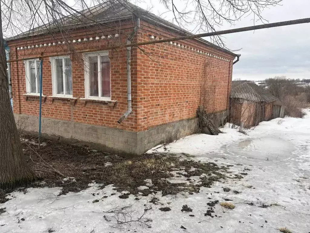 Дом в Белгородская область, Новооскольский муниципальный округ, с. ... - Фото 1