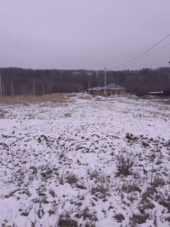 Участок в Татарстан, Верхнеуслонский район, Введенско-Слободское ... - Фото 0