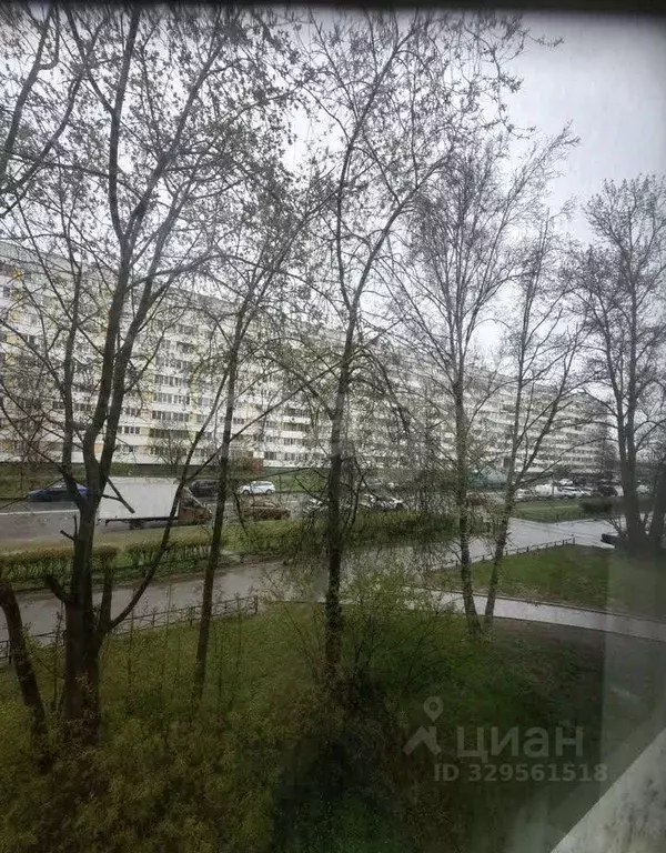2-к кв. Санкт-Петербург ул. Генерала Симоняка, 23 (46.0 м) - Фото 2