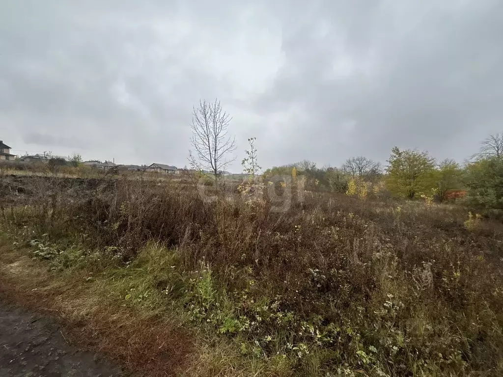 Участок в Белгородская область, Белгородский район, Дубовское с/пос, ... - Фото 1