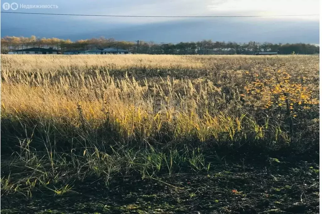 Участок в Тамбовский муниципальный округ, село Малиновка (13.7 м) - Фото 1