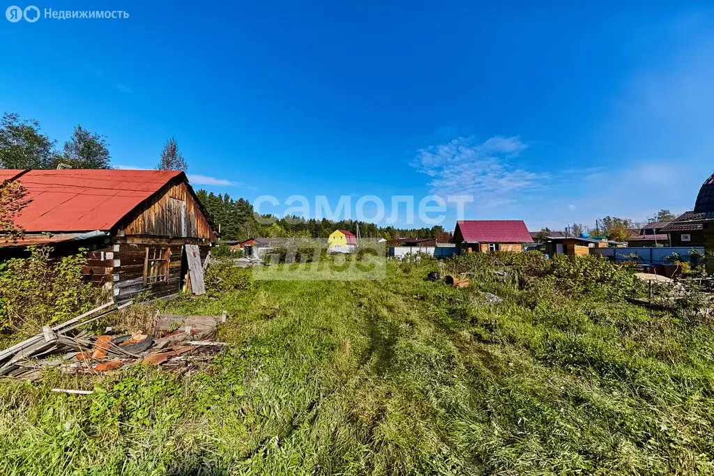 Участок в Томский район, СНТ Лесная дача (6 м) - Фото 0