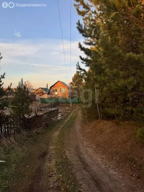 Участок в Болотнинский район, деревня Старобибеево, Кедровая улица ... - Фото 2