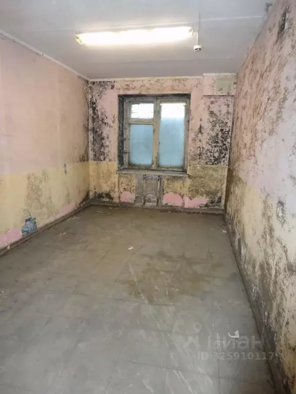 Помещение свободного назначения в Карелия, Петрозаводск Сулажгорская ... - Фото 2