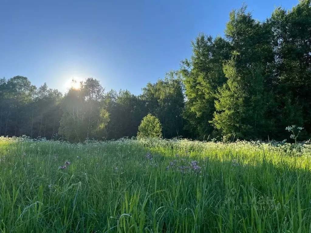 Участок в Московская область, Серпухов городской округ, пос. Дома ... - Фото 2