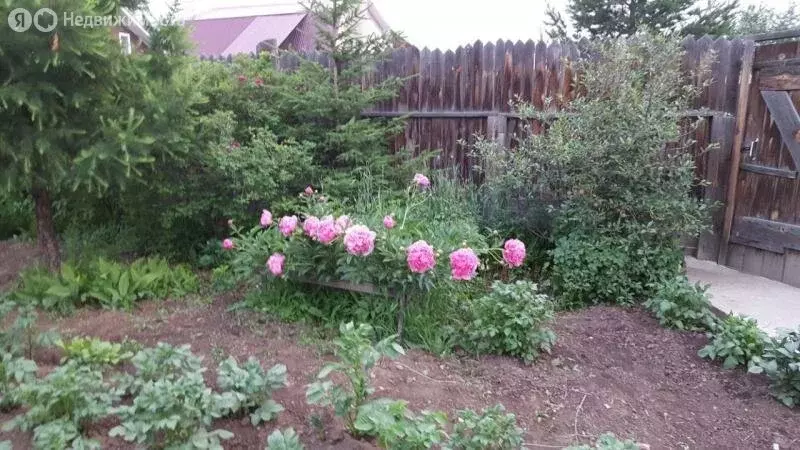 Дом в Иркутский муниципальный округ, СПК Байкальский, Садовая улица, ... - Фото 2