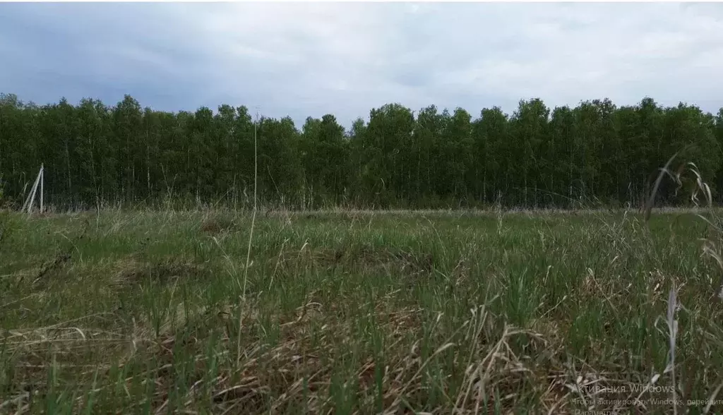 Участок в Челябинская область, Сосновский муниципальный округ, д. ... - Фото 2