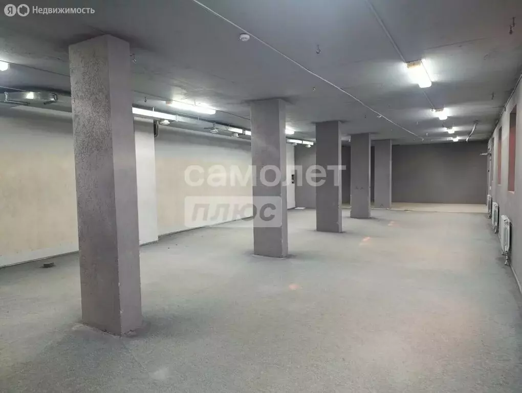 Помещение свободного назначения (250 м) - Фото 1