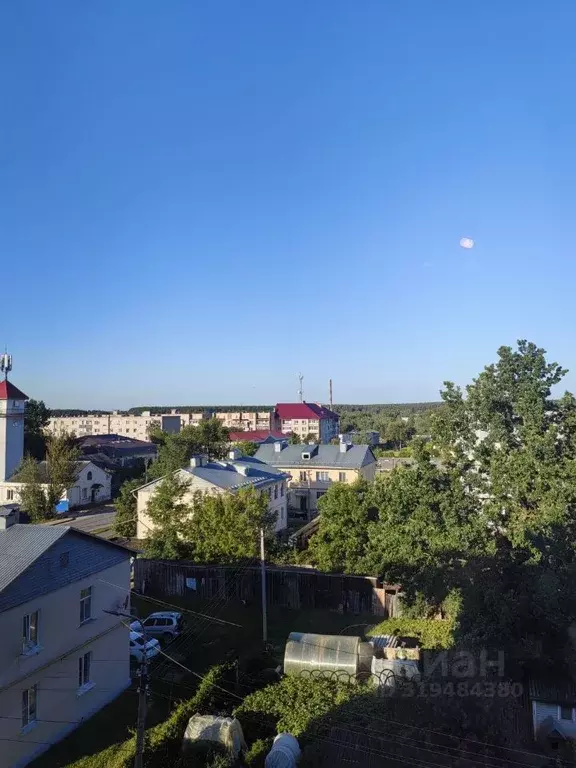 3-к кв. Псковская область, Новосокольники ул. Бабахина, 21 (58.5 м) - Фото 1