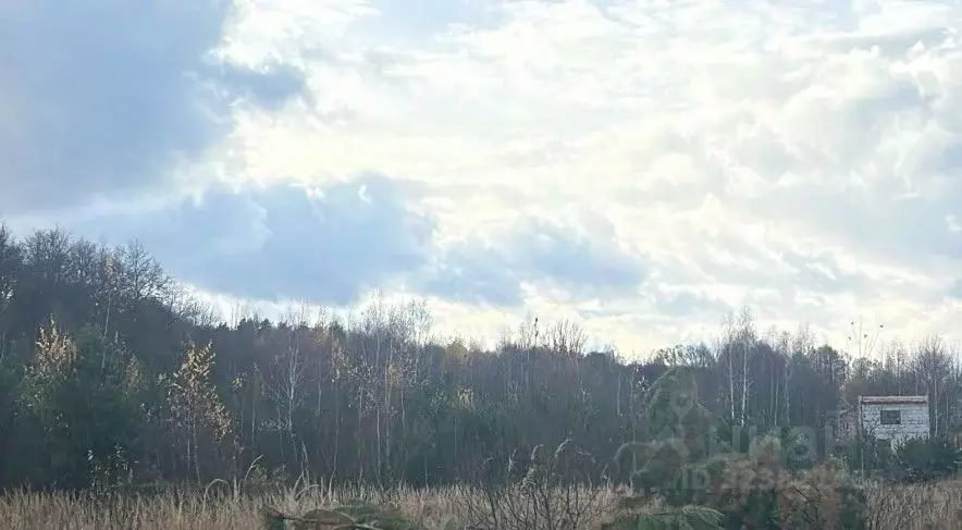 Участок в Московская область, Ступино пер. 2-й Знаменский (10.0 сот.) - Фото 1