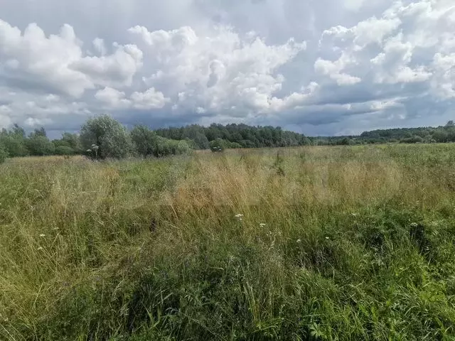 Участок 14,8 сот. (ИЖС) - Фото 0
