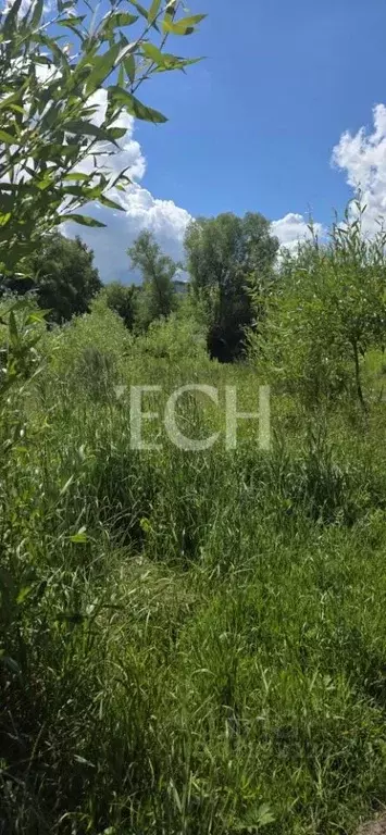 Участок в Тульская область, Тула ул. Томпа (15.0 сот.) - Фото 2