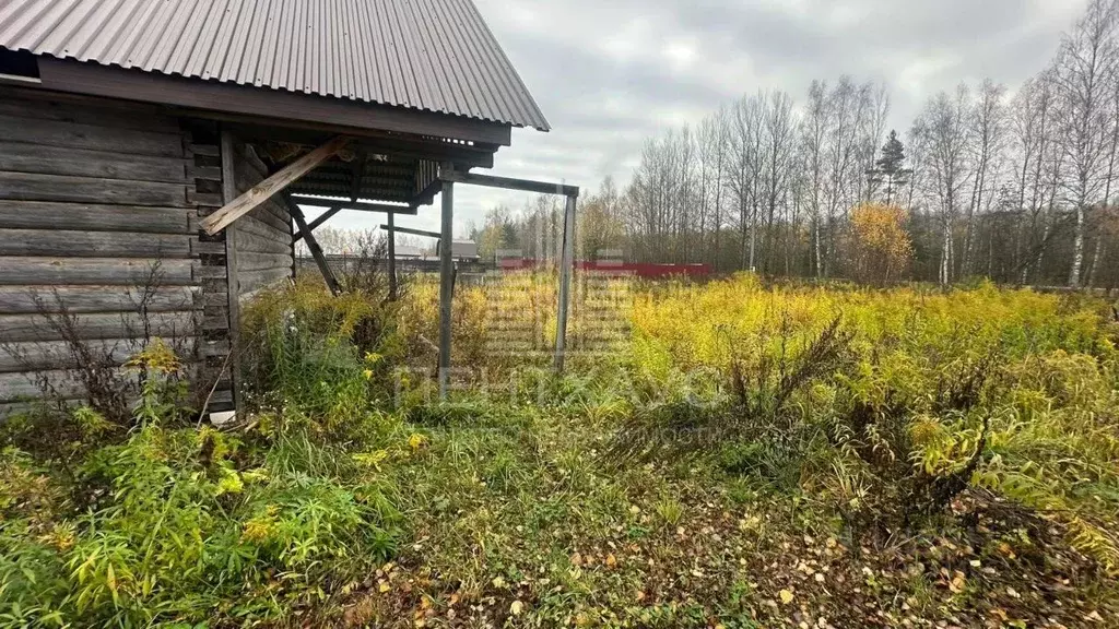 Участок в Владимирская область, Судогодский район, д. Веригино ул. ... - Фото 2