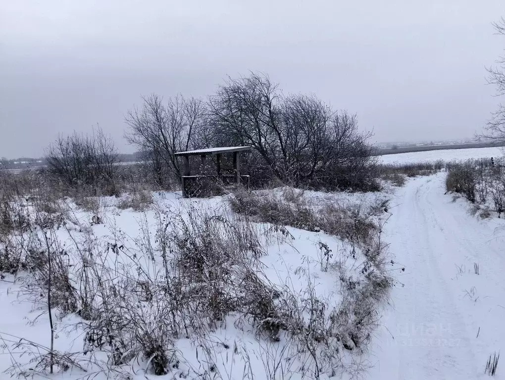 Участок в Свердловская область, Артемовский муниципальный округ, с. ... - Фото 0