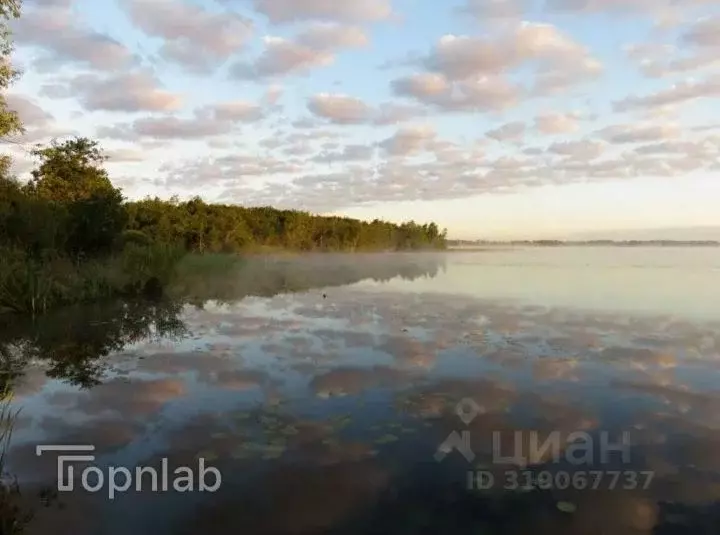 Участок в Ленинградская область, Приозерский район, Ларионовское ... - Фото 1